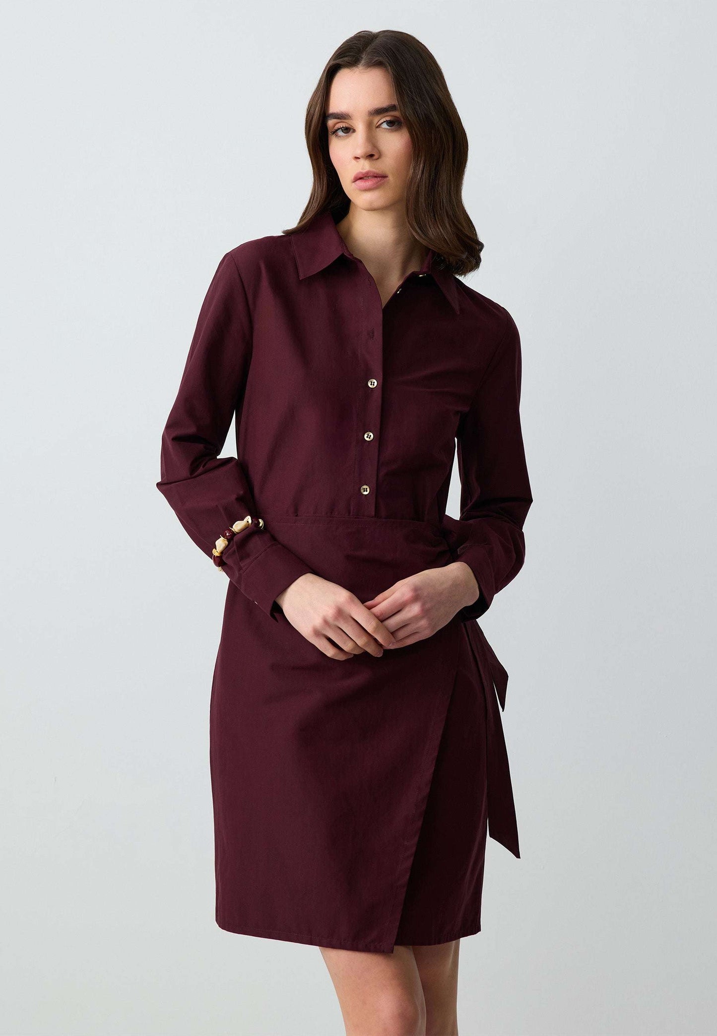 Long Sleeve Shirt Collar Woven Mini Dress