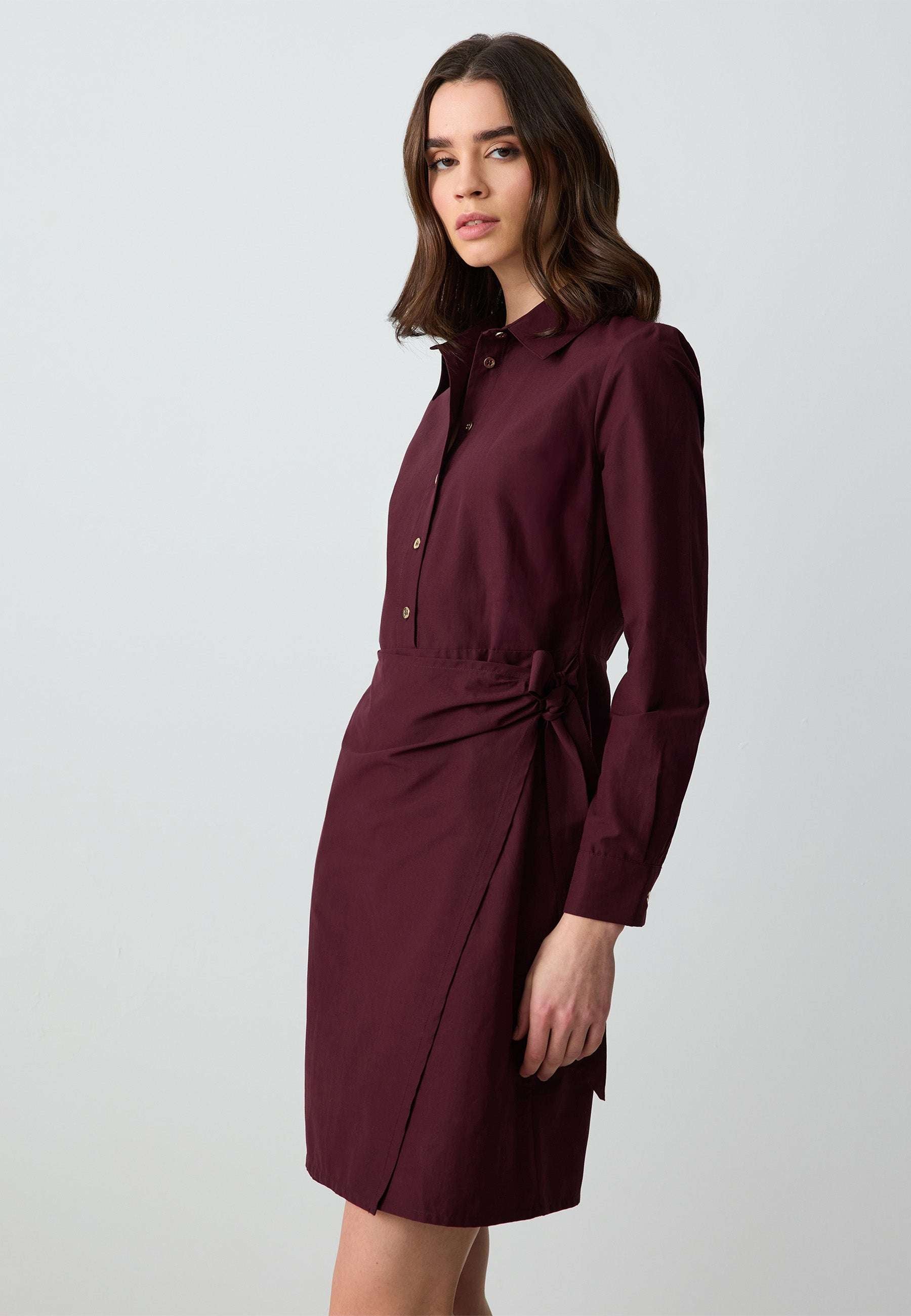 Long Sleeve Shirt Collar Woven Mini Dress