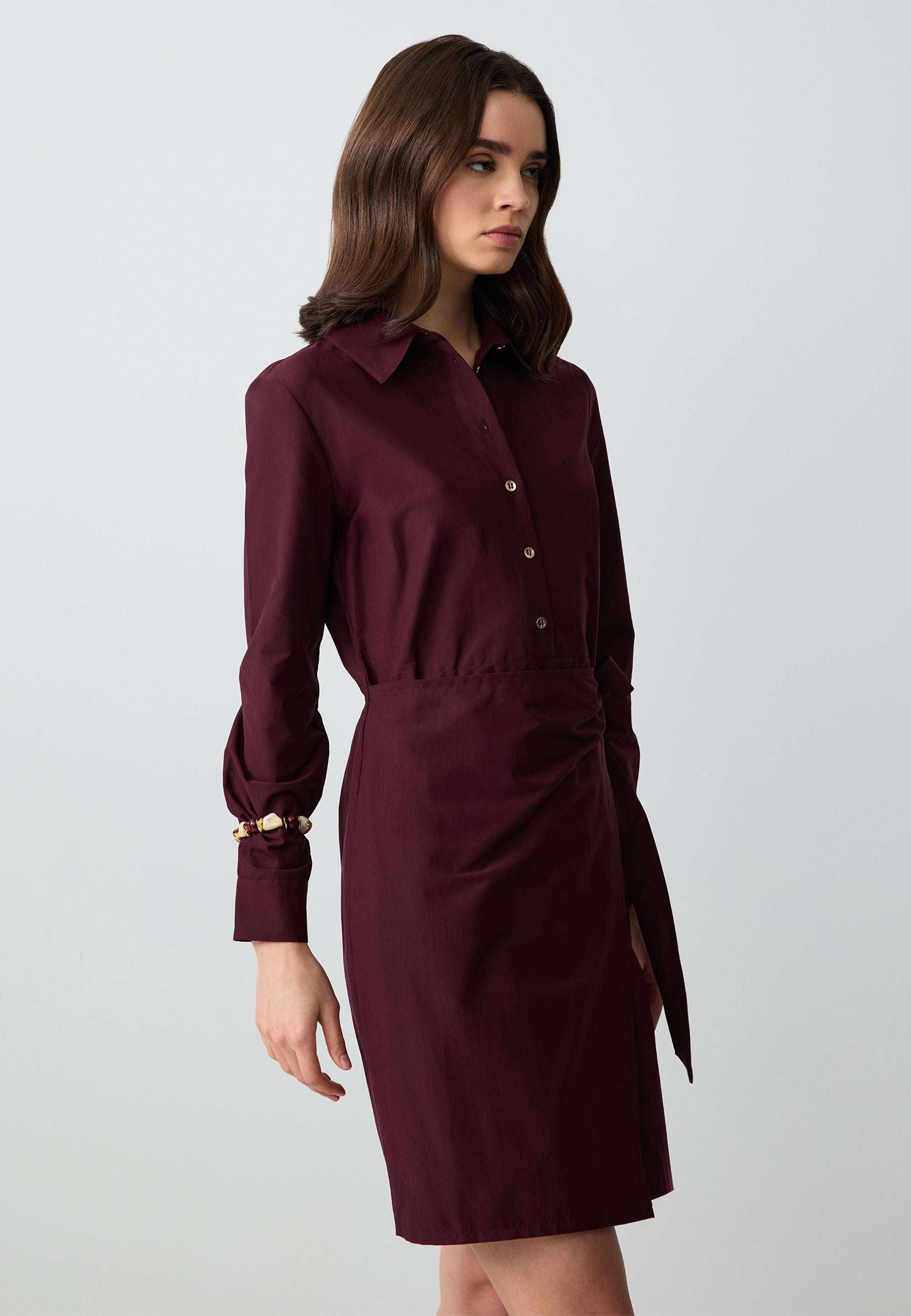 Long Sleeve Shirt Collar Woven Mini Dress