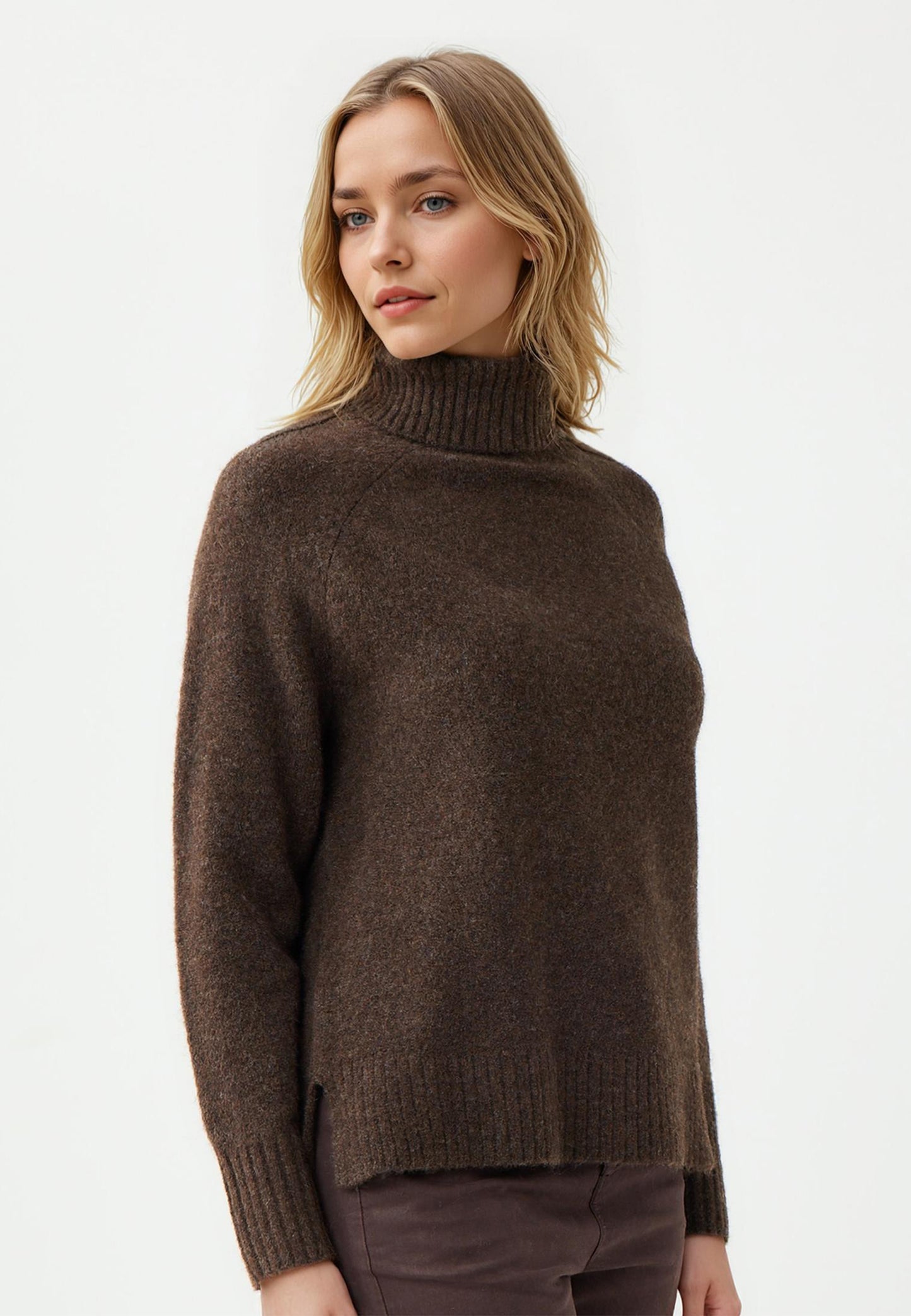 Regular Fit Polo Neck Biiter Brown Tricot Pullover