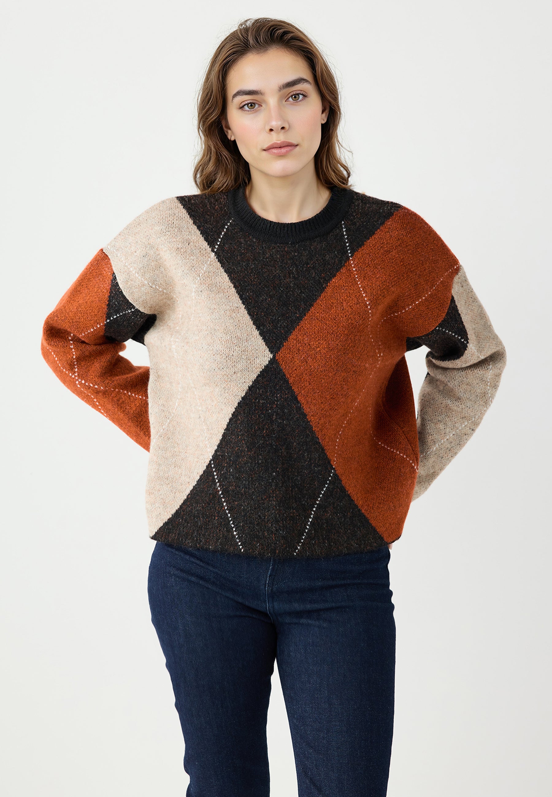 Round Neck Geometric Patterned Knit Sweater