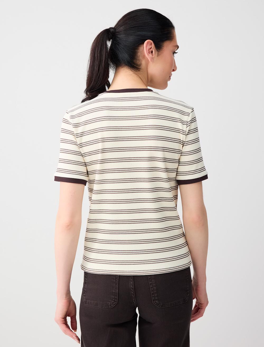 Ss Patterned Striped - Cream Color