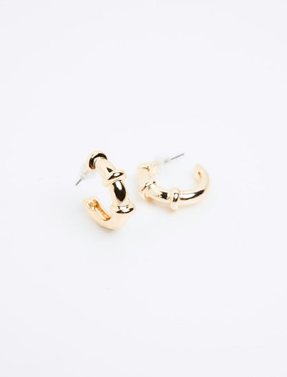 Ring Figured Modern Earrings