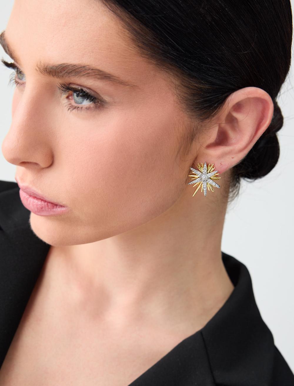 Earring - Silver