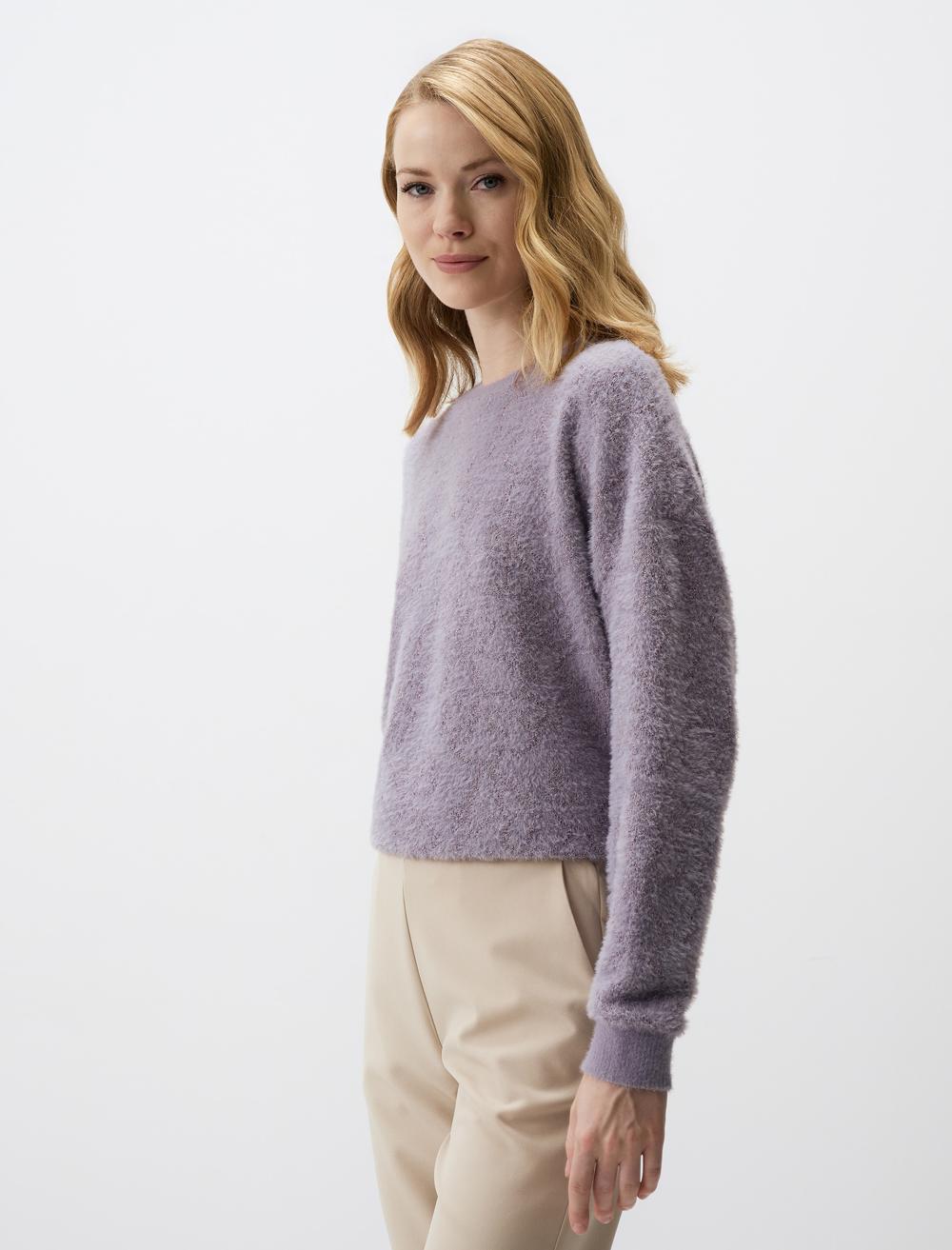 Crew Neck Long-Sleeve Pullover - Purple - 4WW231480503