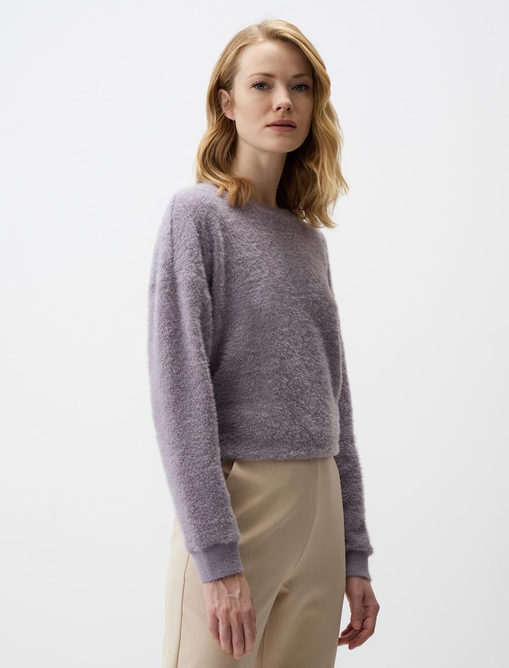 Crew Neck Long-Sleeve Pullover - Purple - 4WW231480503